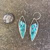 Opalized Petrified Wood Earings