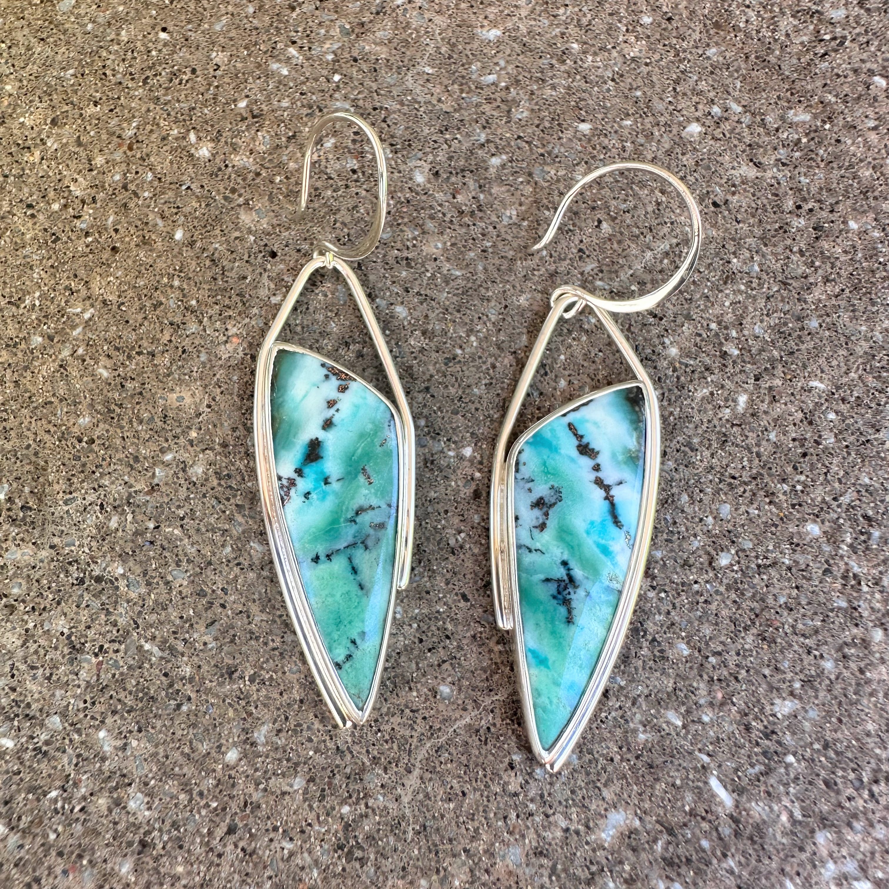 Opalized Petrified Wood Earings – Patti Page Jewelry