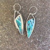 Opalized Petrified Wood Earings