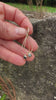 Black Diamond and gold earrings
